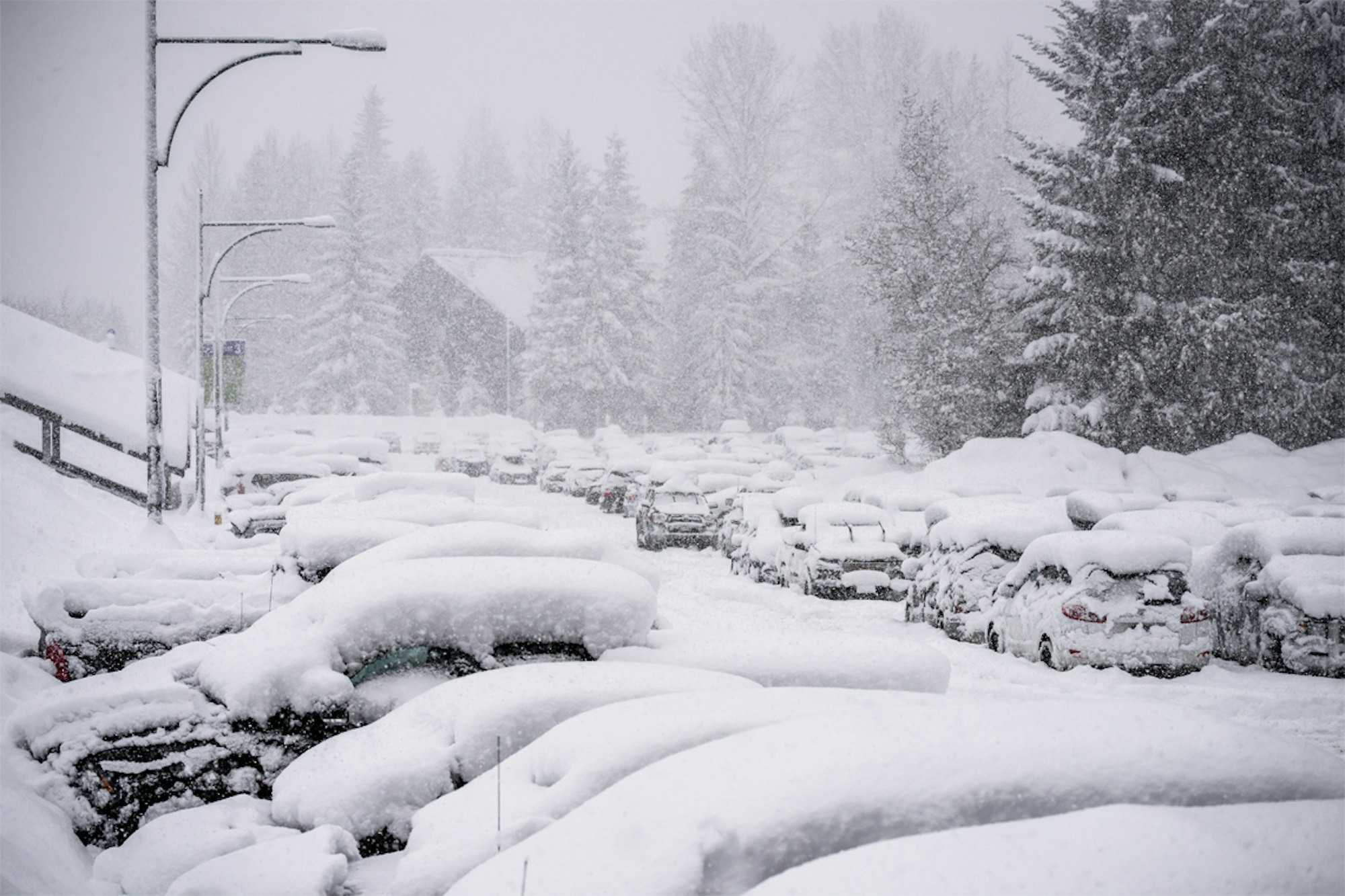 First Chair Fodder — Parking Lot Thoughts