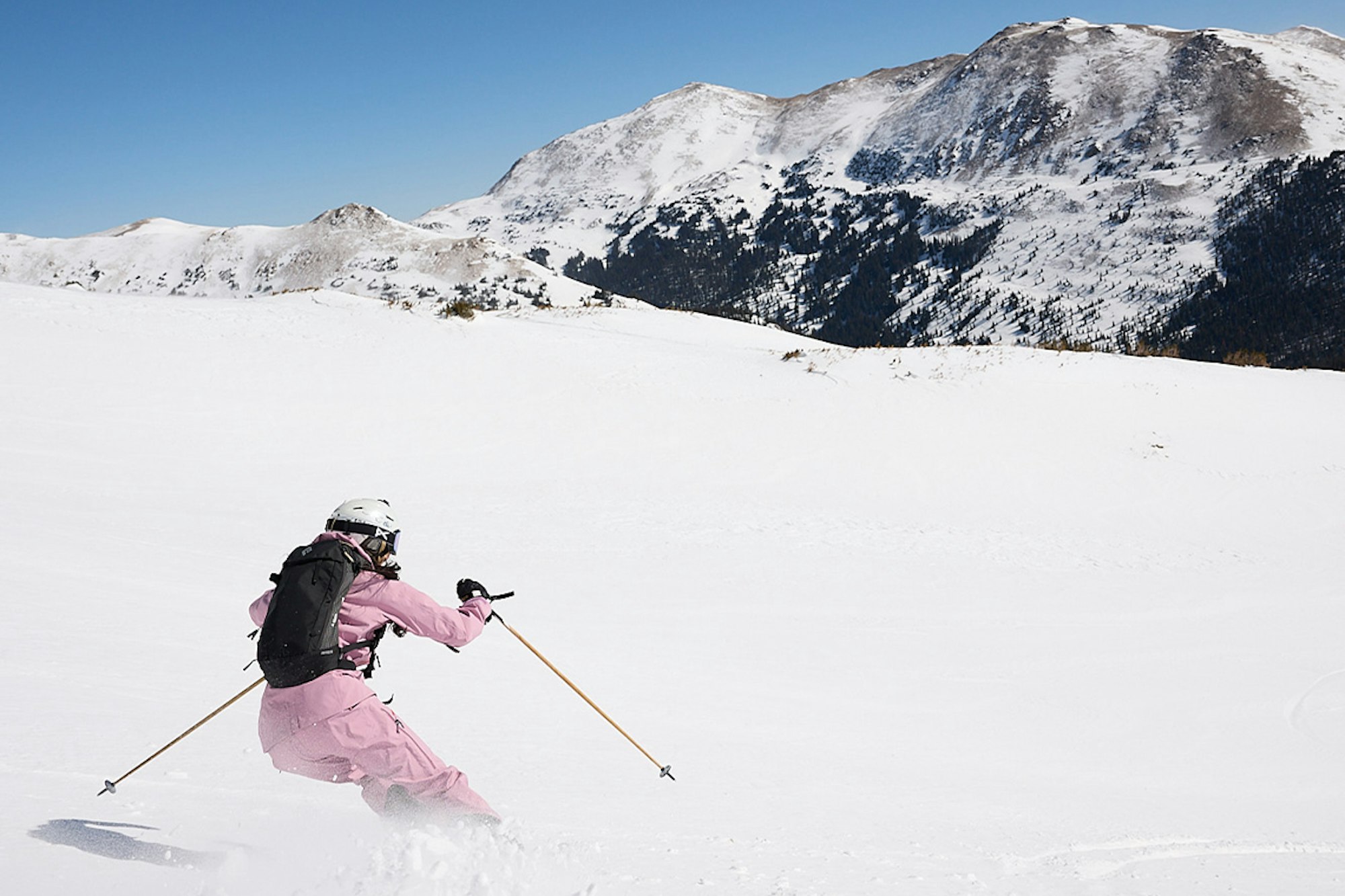 News Flash: Week of December 21, 2022