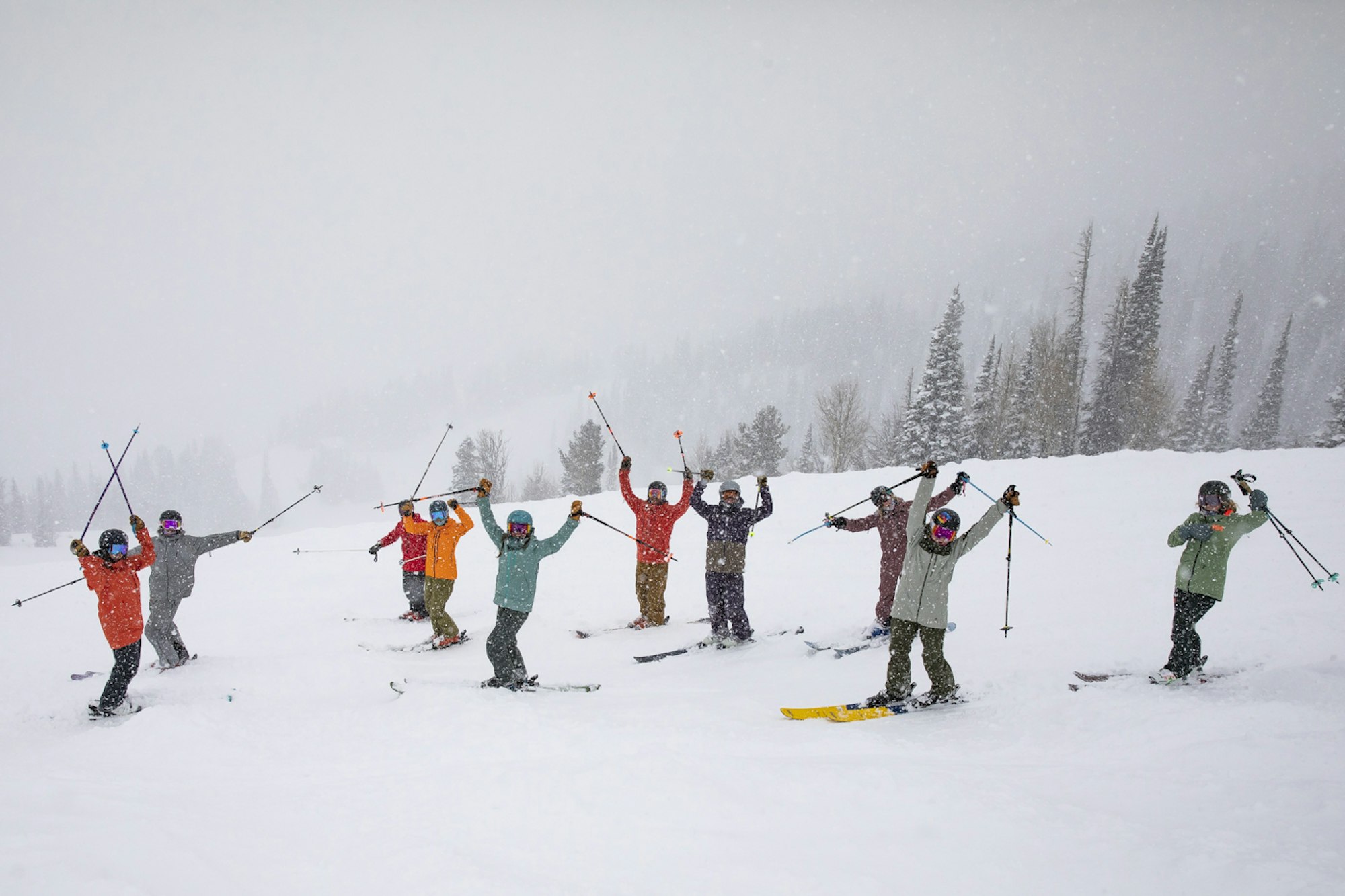 News Flash: Week of November 23, 2022