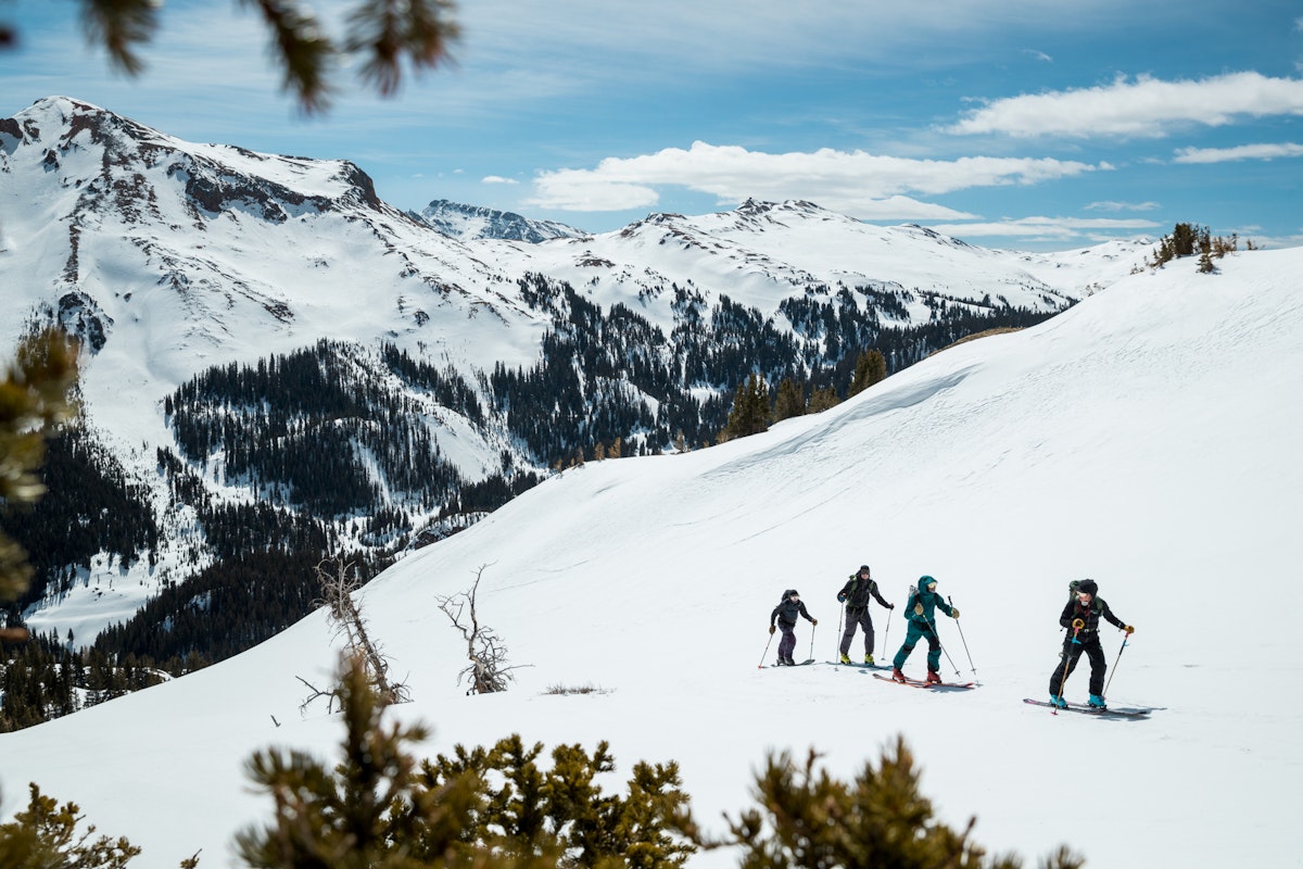 News Flash: Week of November 16, 2022