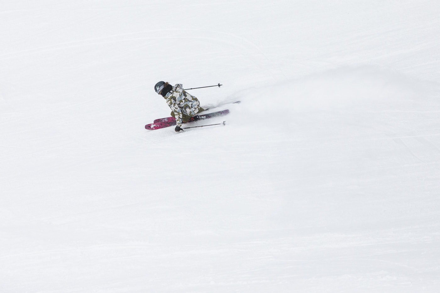 Stephanie Cox new NSP director