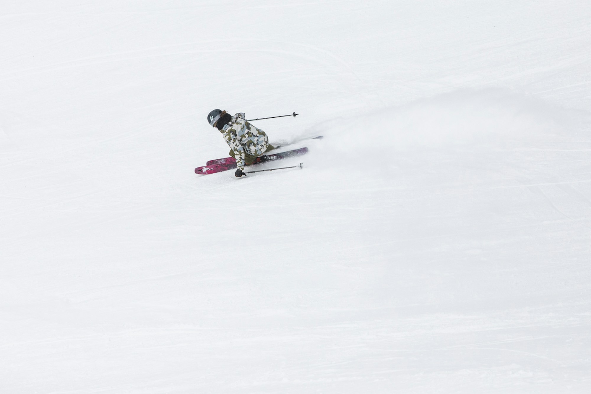 Stephanie Cox new NSP director