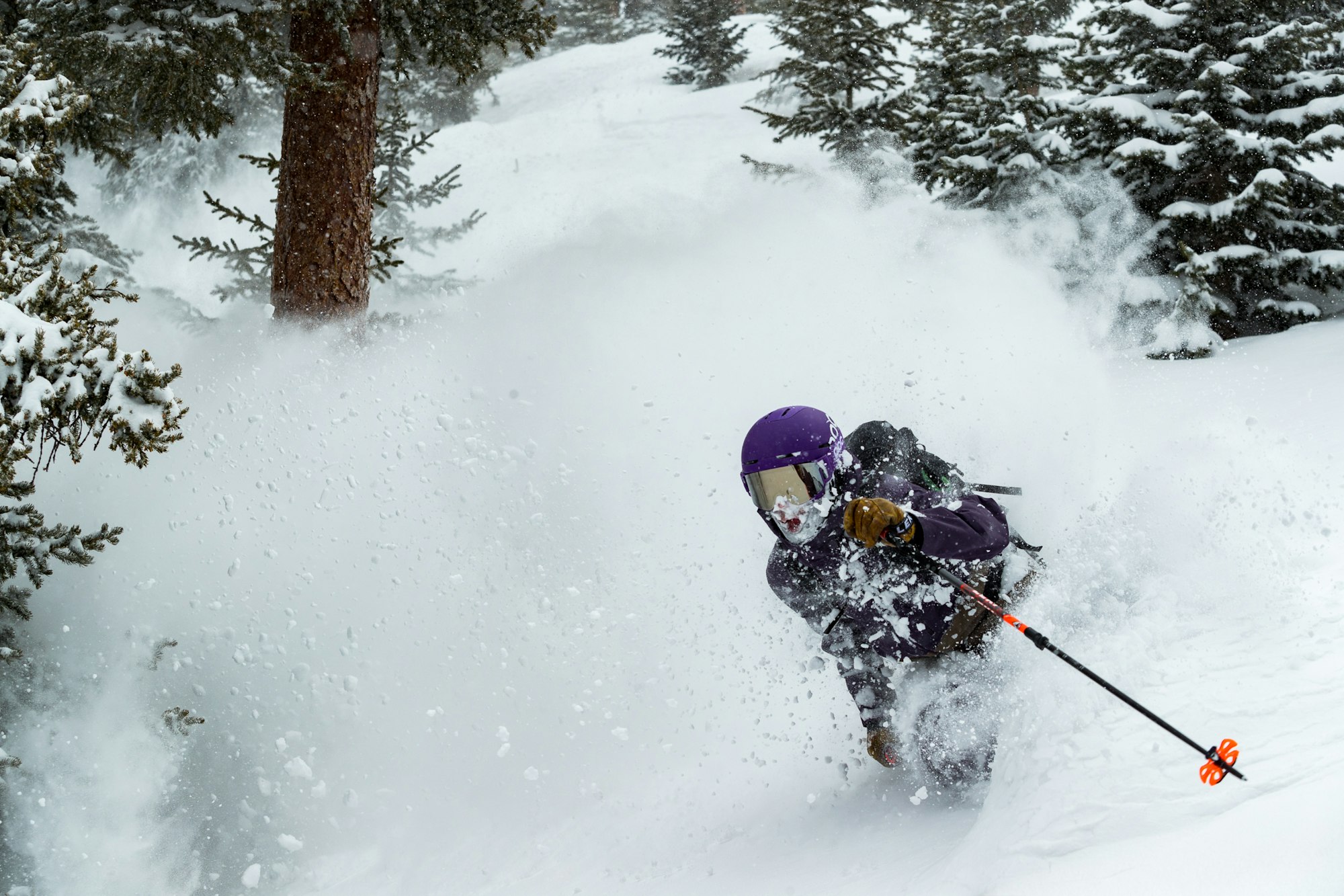 News Flash: Week of October 12, 2022