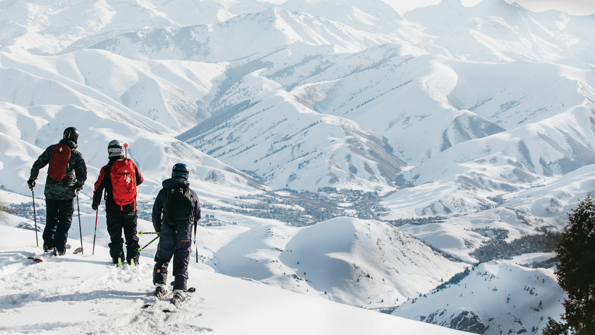 A descent into Cold Springs Canyon