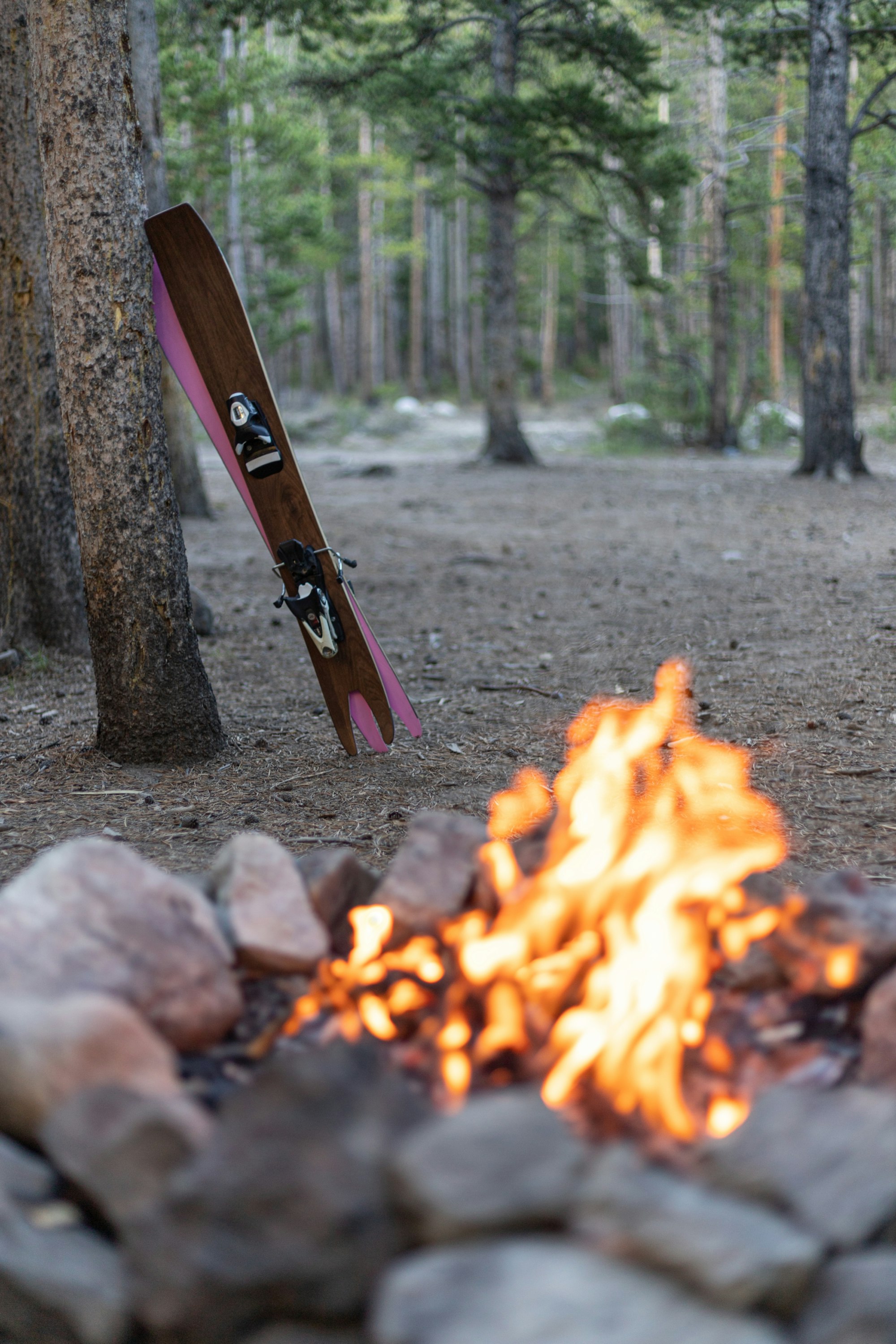 Swallowtail ski blades