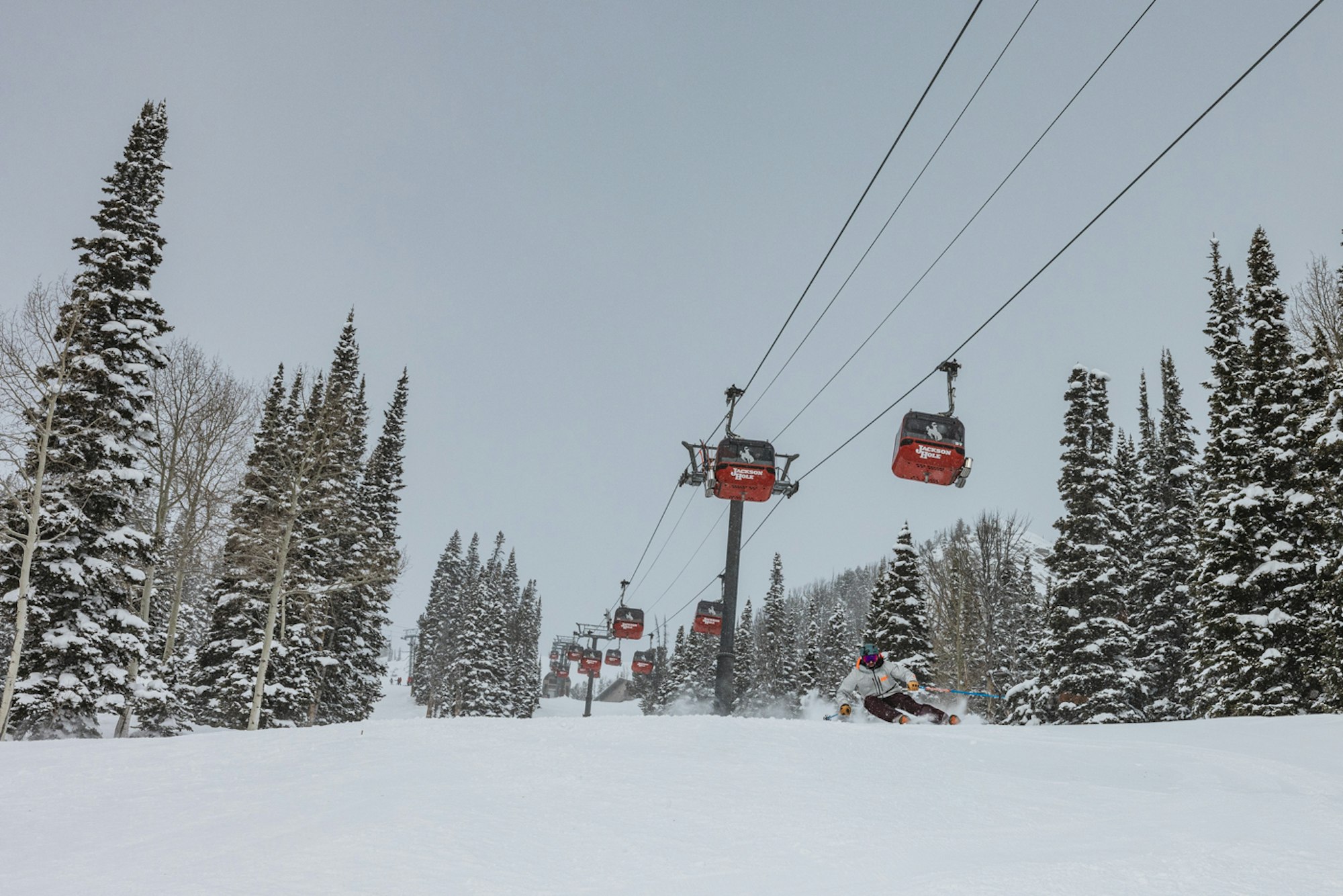 Jackson Hole Gondola