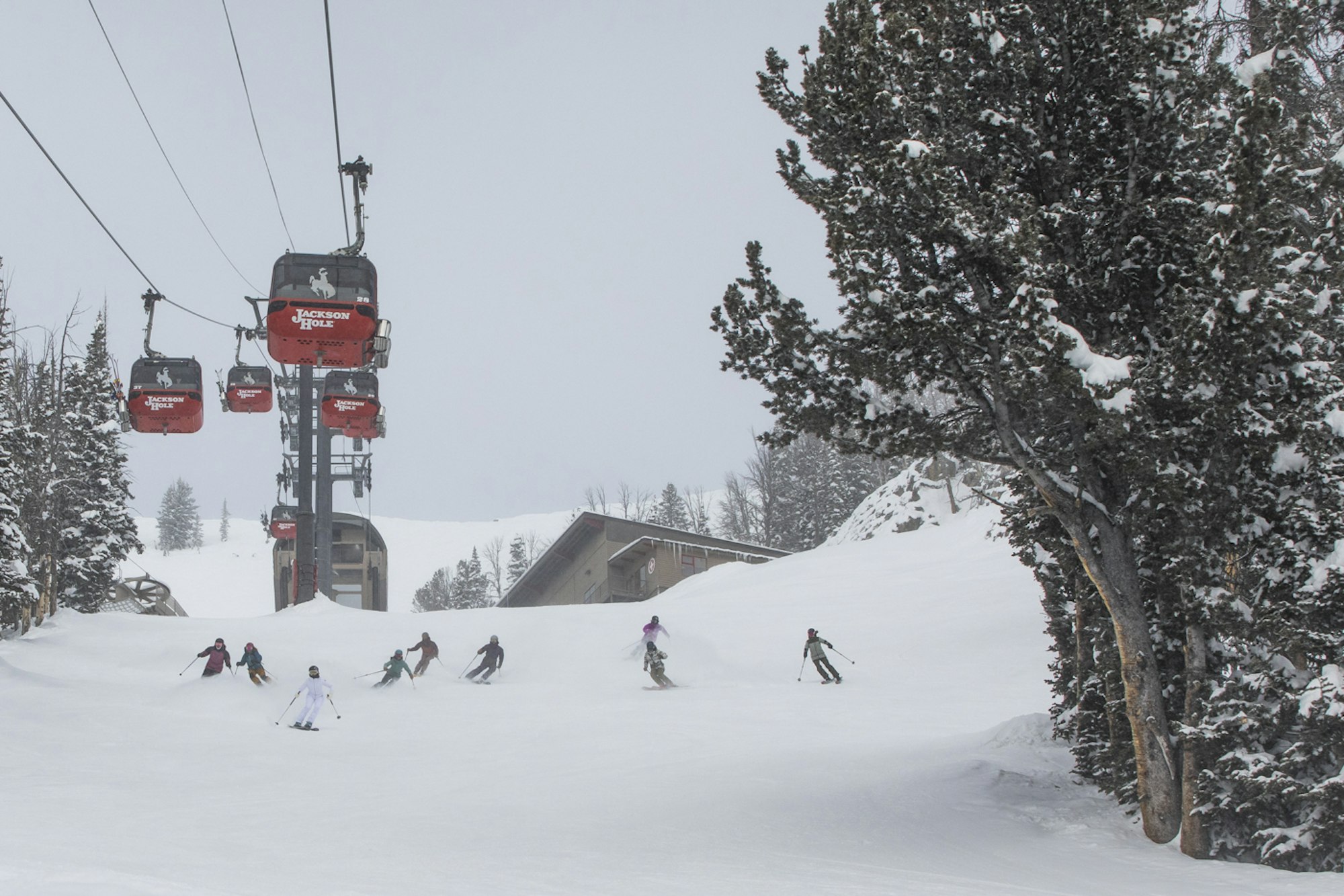 Jackson Hole Gondola