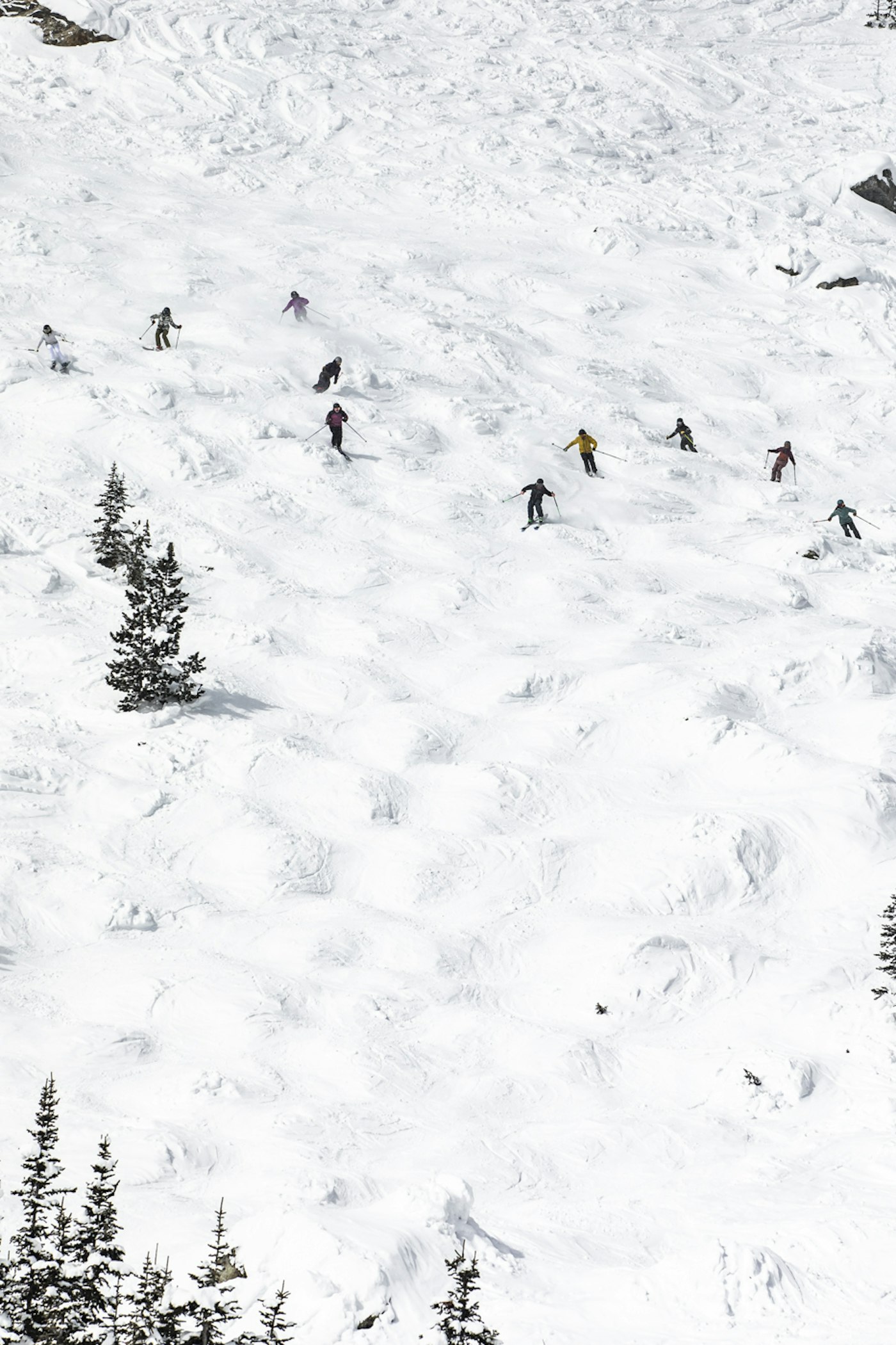 SKier on moguls at Jackson Hole mountain resort