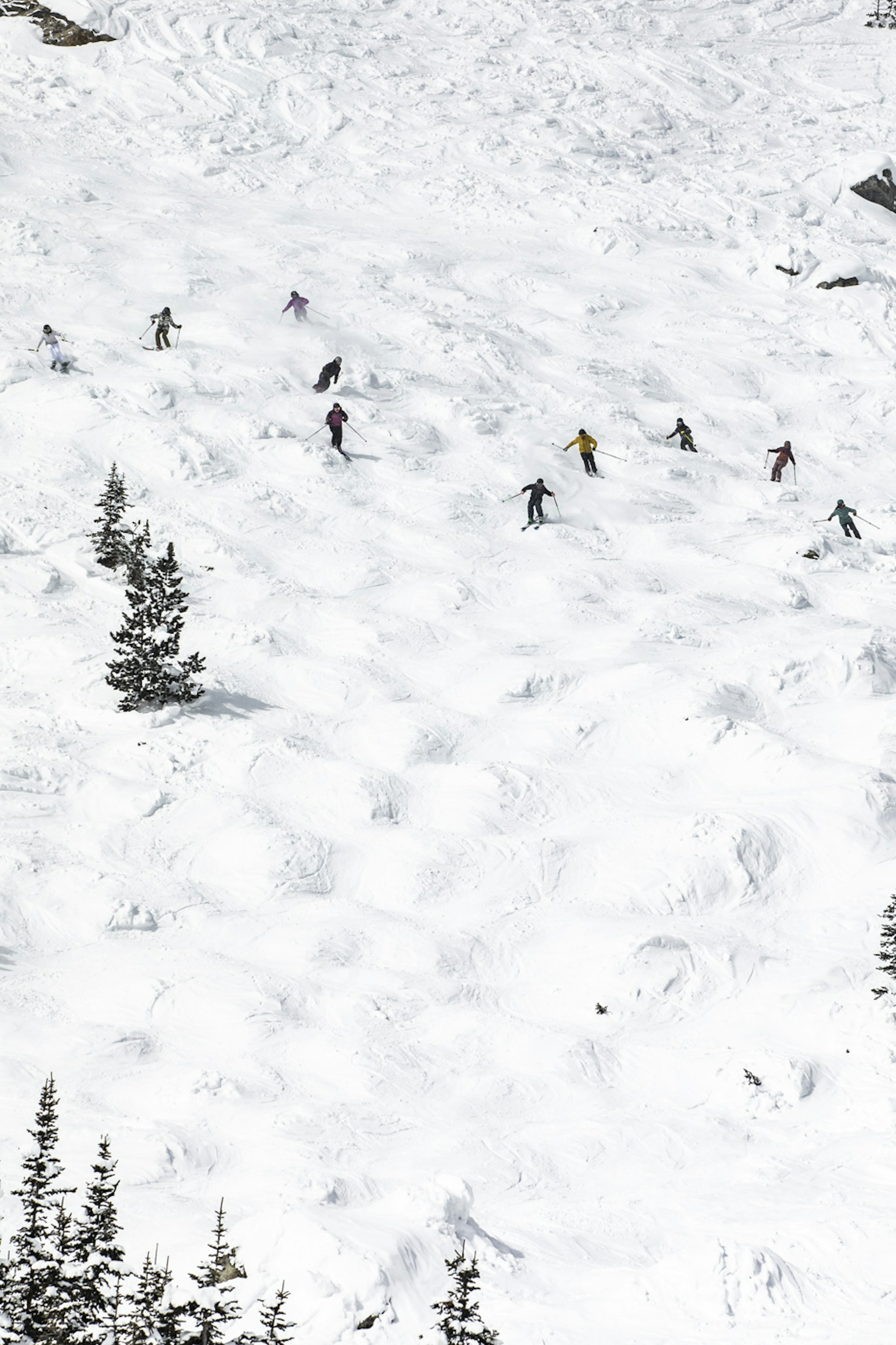 SKier on moguls at Jackson Hole mountain resort