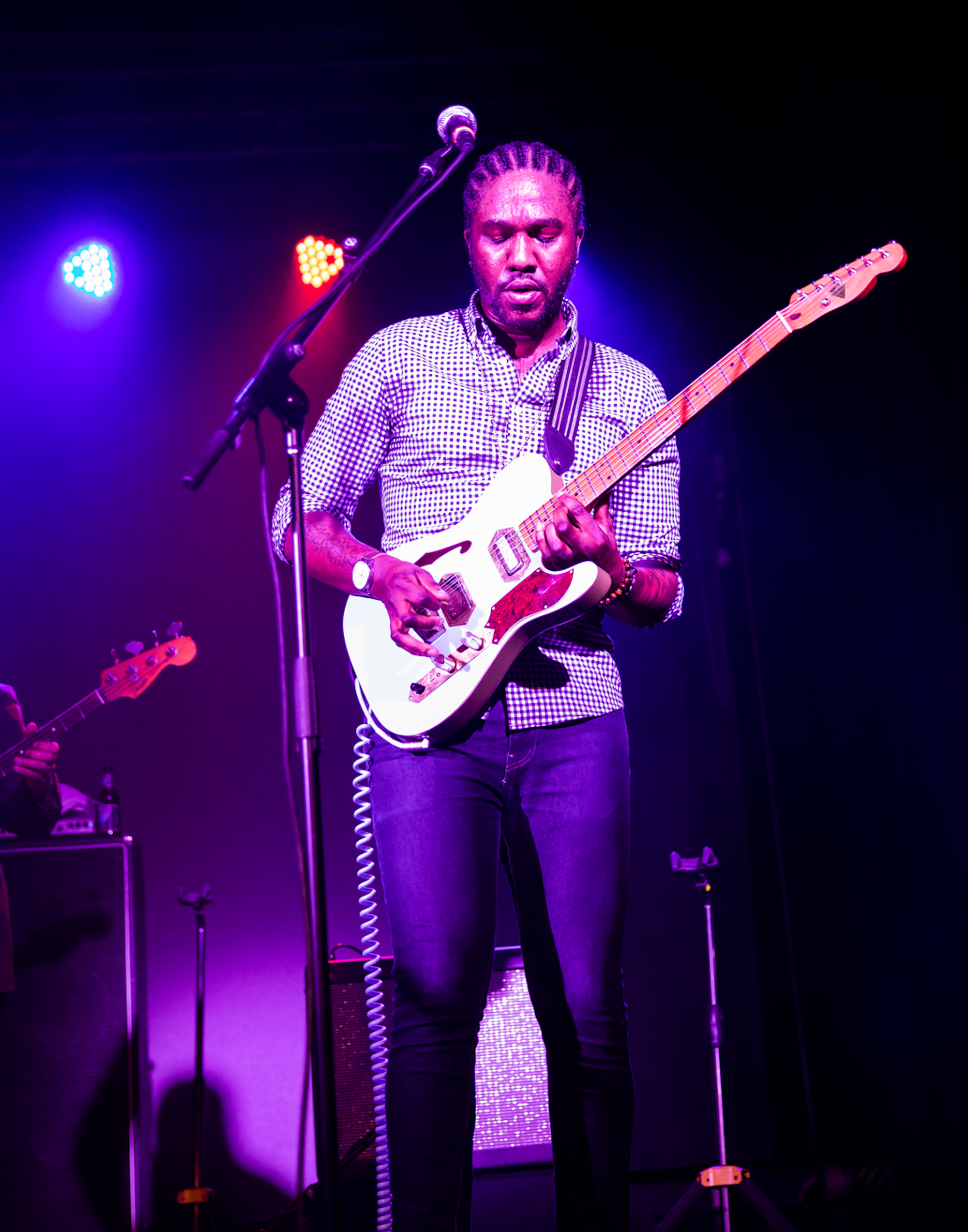 FREESKIER Music in the Mountains