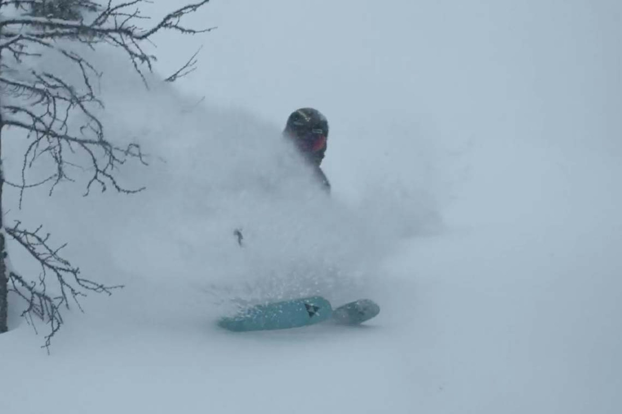 The new Ranger 116 is Fischer's heavy hitter for freeride skiing