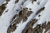 [Freeride World Tour 2022] Baqueira Beret, Spain – Stop One Recap