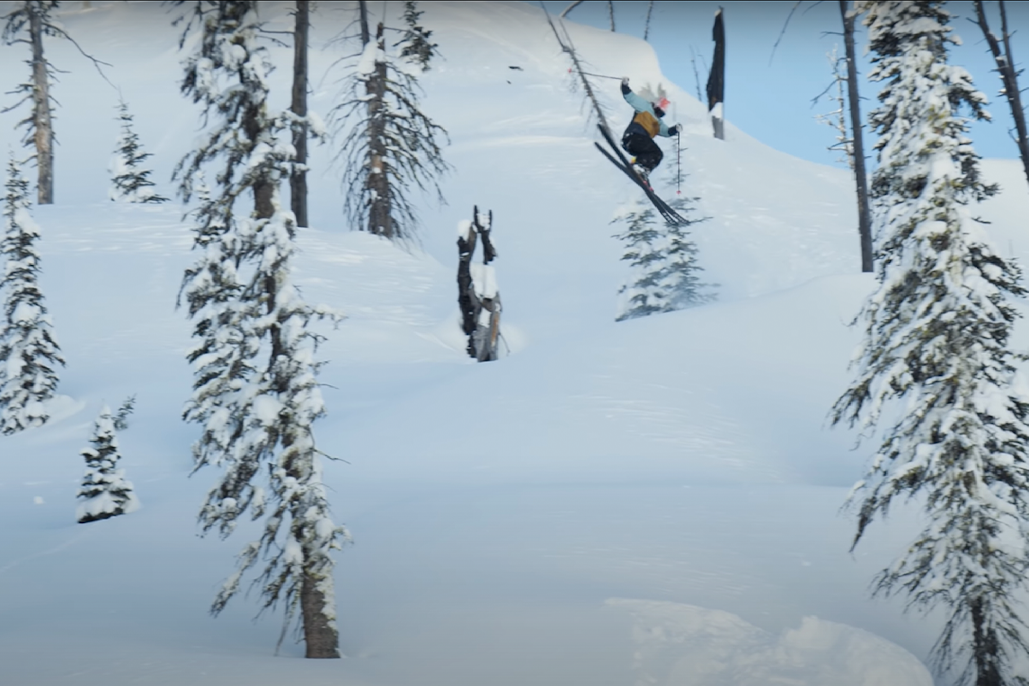 Strictly's powder project 'Wildcard' hits the internet