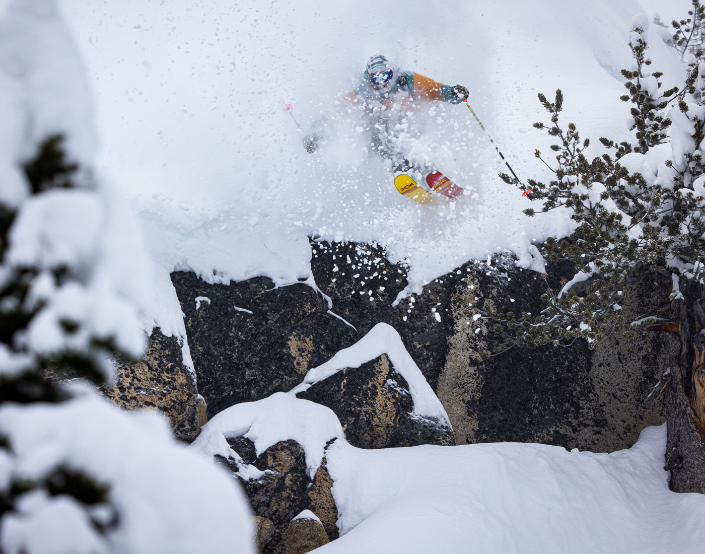 This image has an empty alt attribute; its file name is Dalbello_3.png