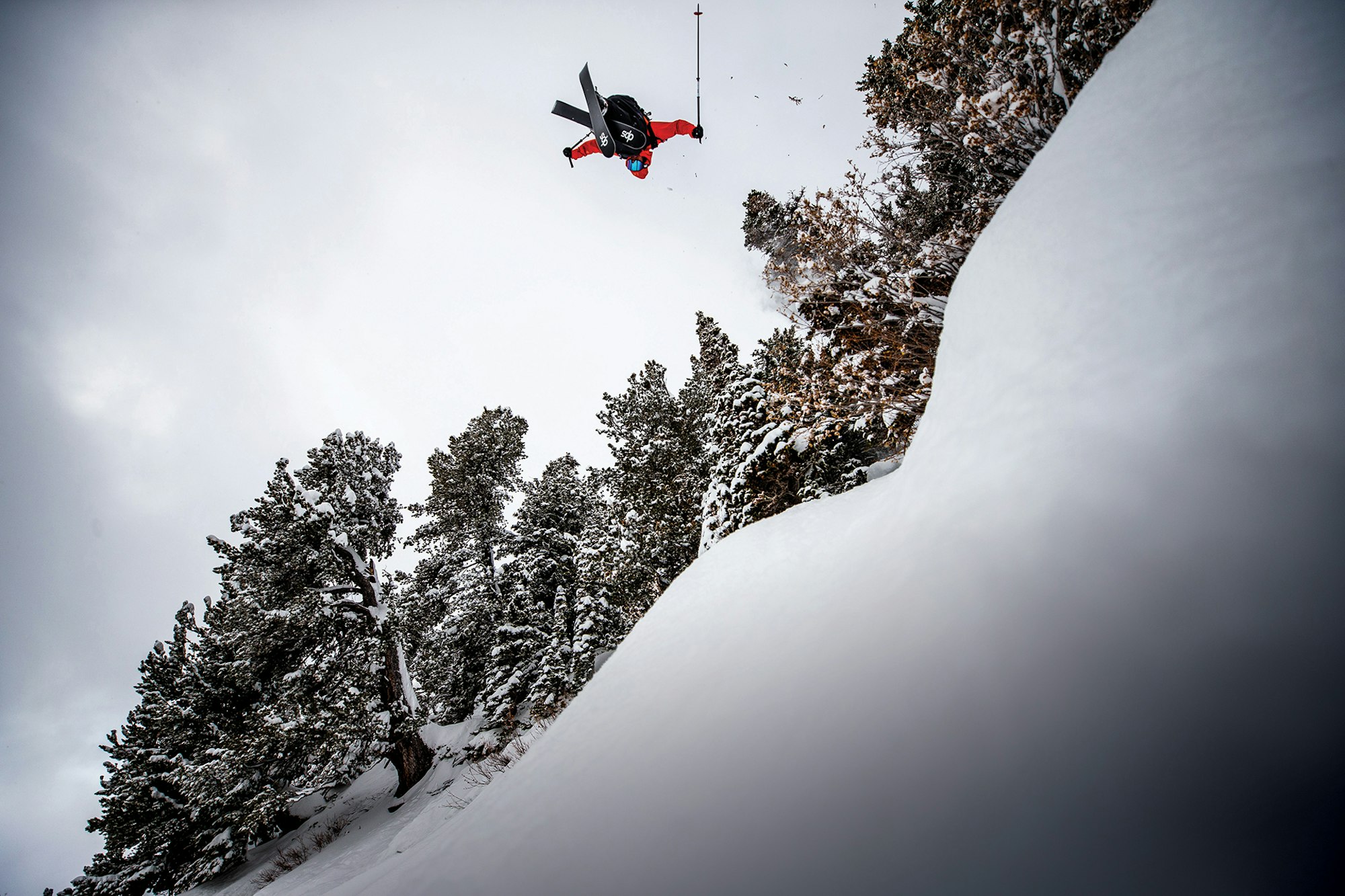 [DEEP DIVE] DPS Koala 103 Review