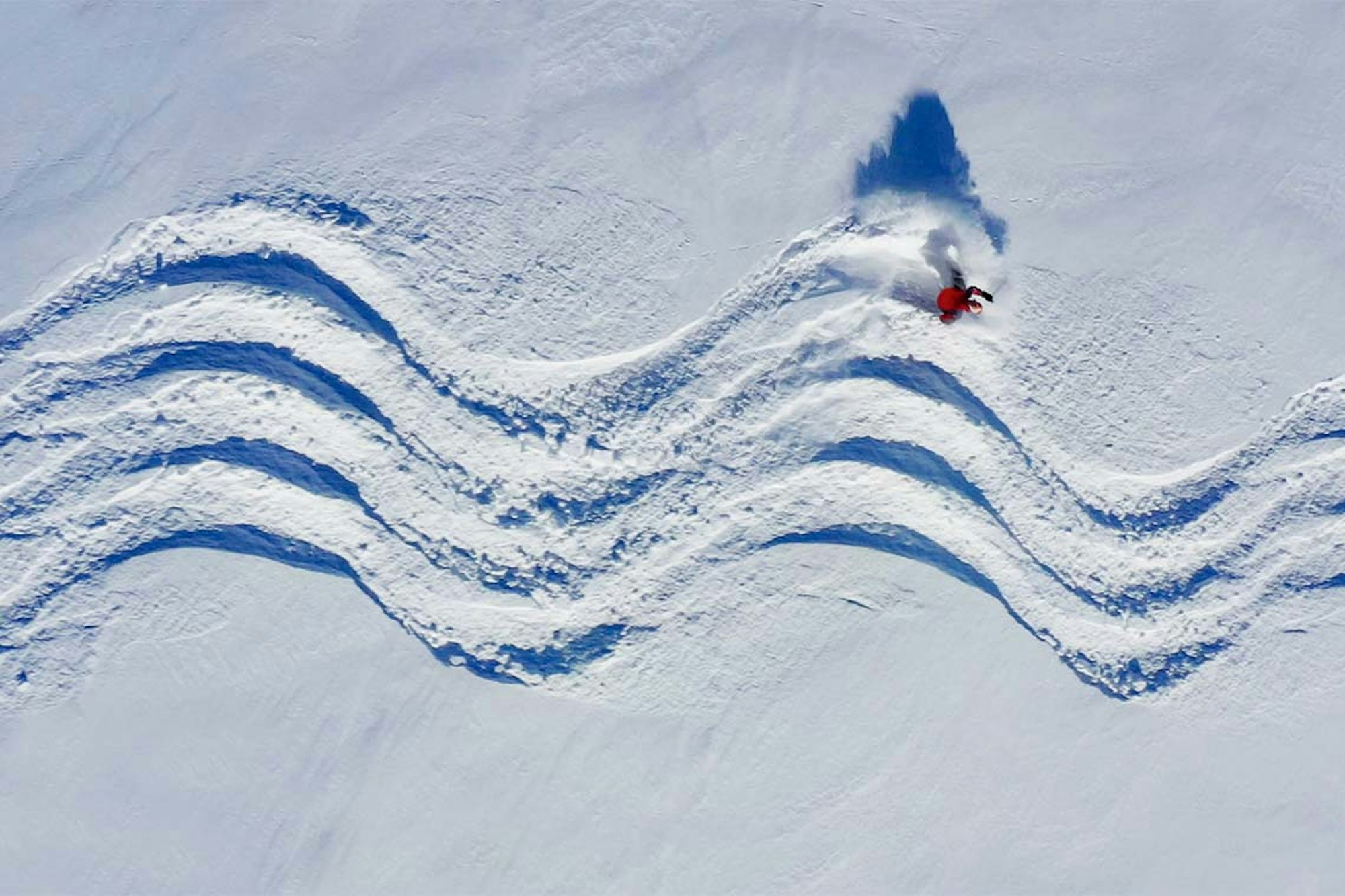 Ski What You Sow: Remembering Farmer Dave