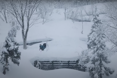 Koga Hoshino – "MaTaTaBi" : An all around beauty, from the streets to the deep