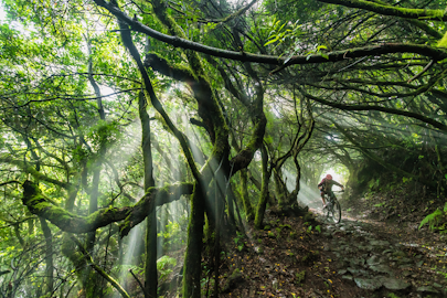 [The Gear Closet] Mountain biking essentials for the singletrack fanatic