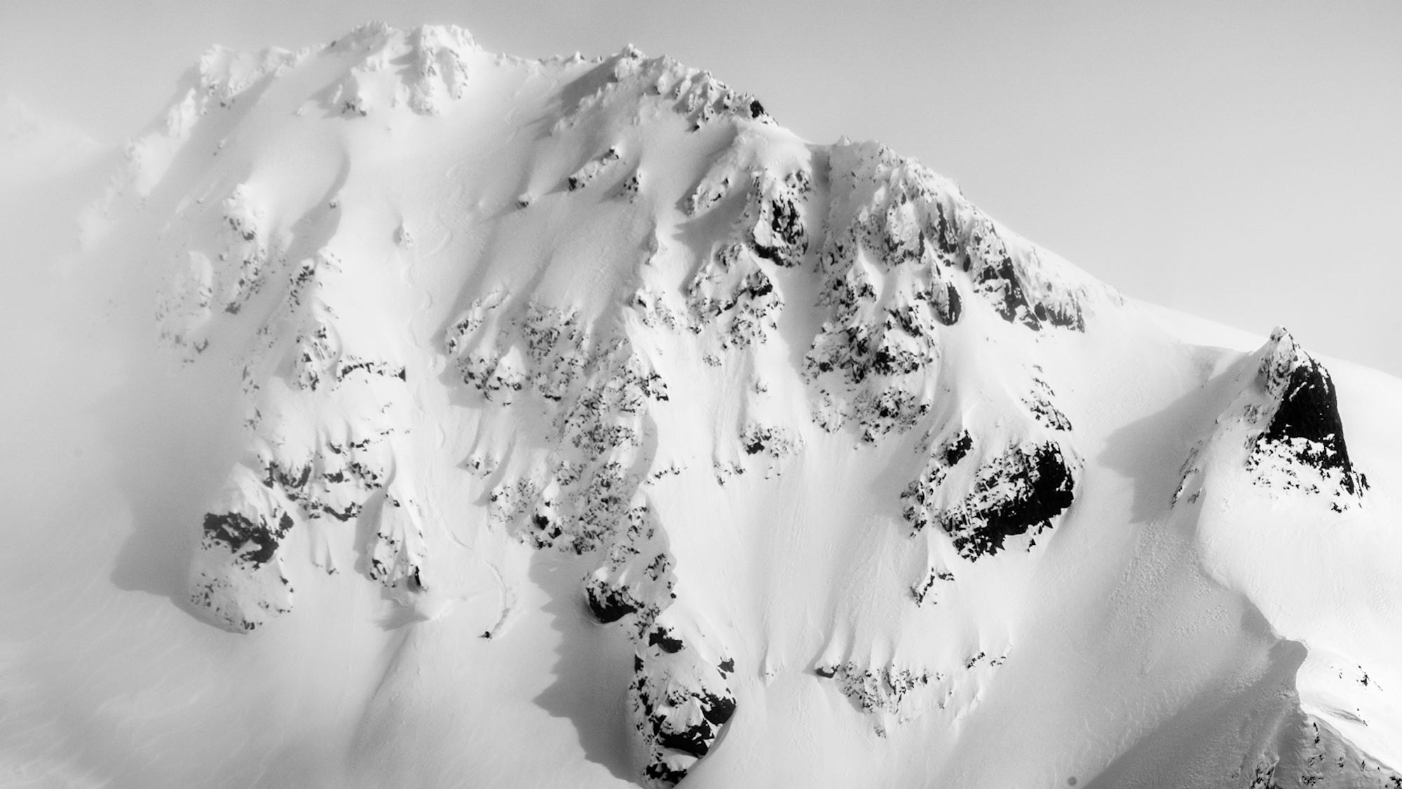 Trip Report: Cerro Lopez, South America