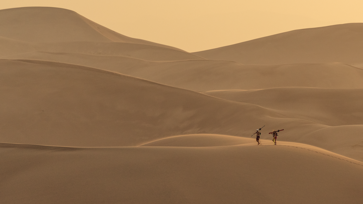 The Importance of Being Useless