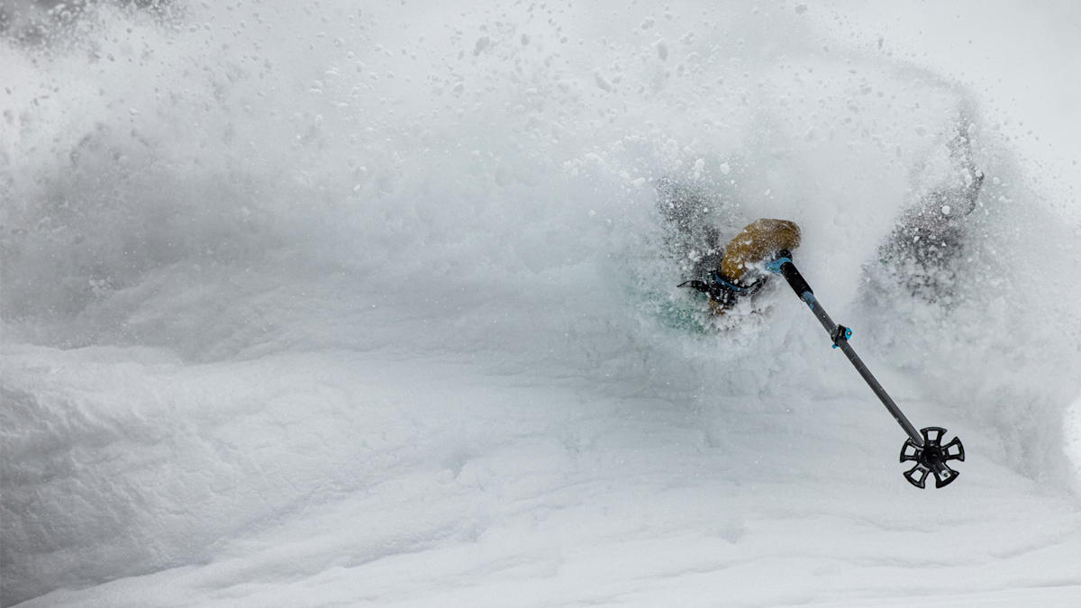 Here and Now: Sled skiing with the Pros