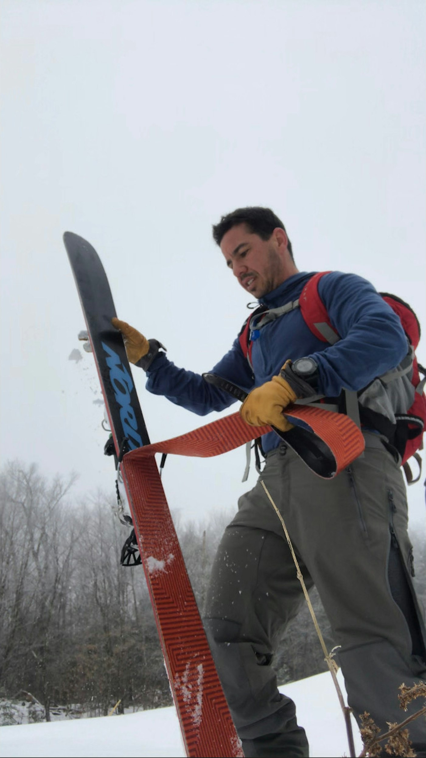 Venture Out Perry Cohen