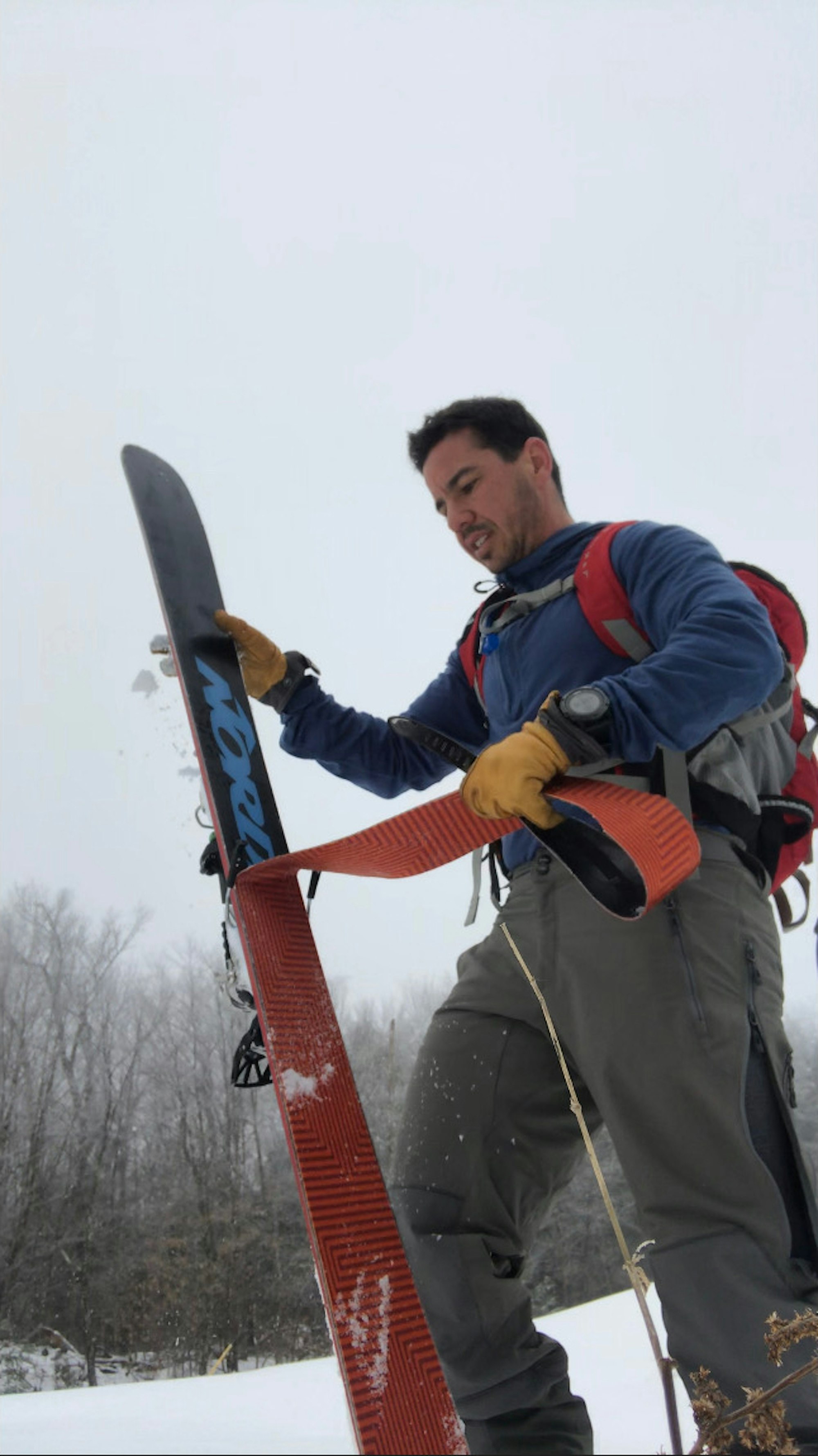 Venture Out Perry Cohen