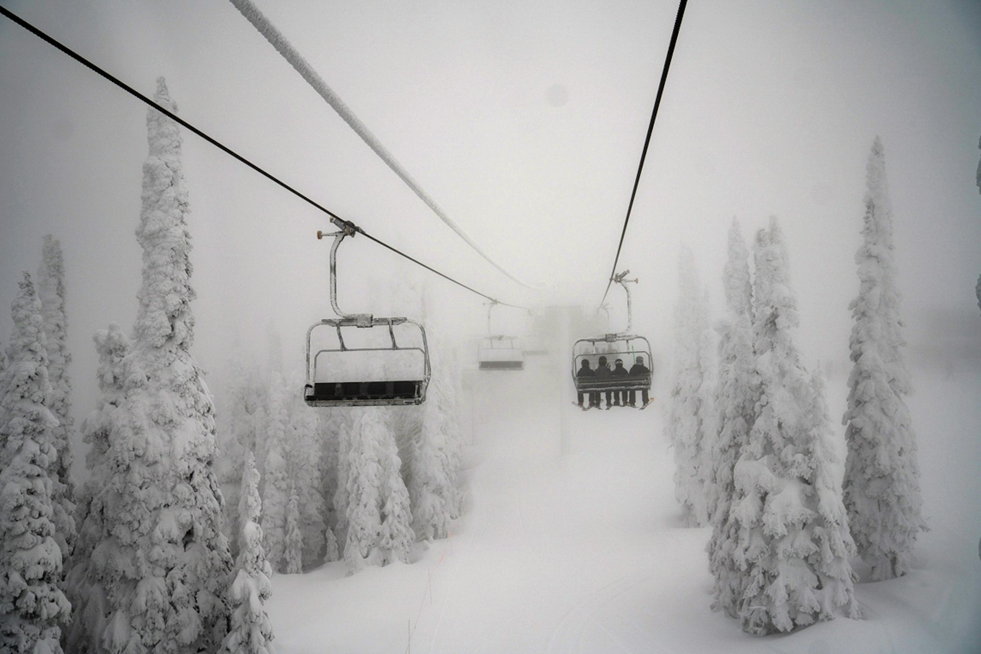 The Flathead Valley: Whitefish Mountain Resort and Blacktail Mountain Ski Area