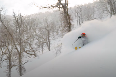 The Traveling Circus Rolls On!