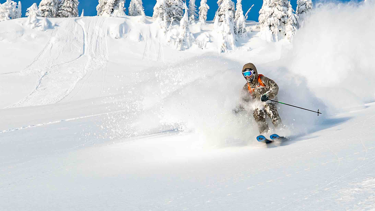 Deep Dive: Nordica Enforcer 110 Free