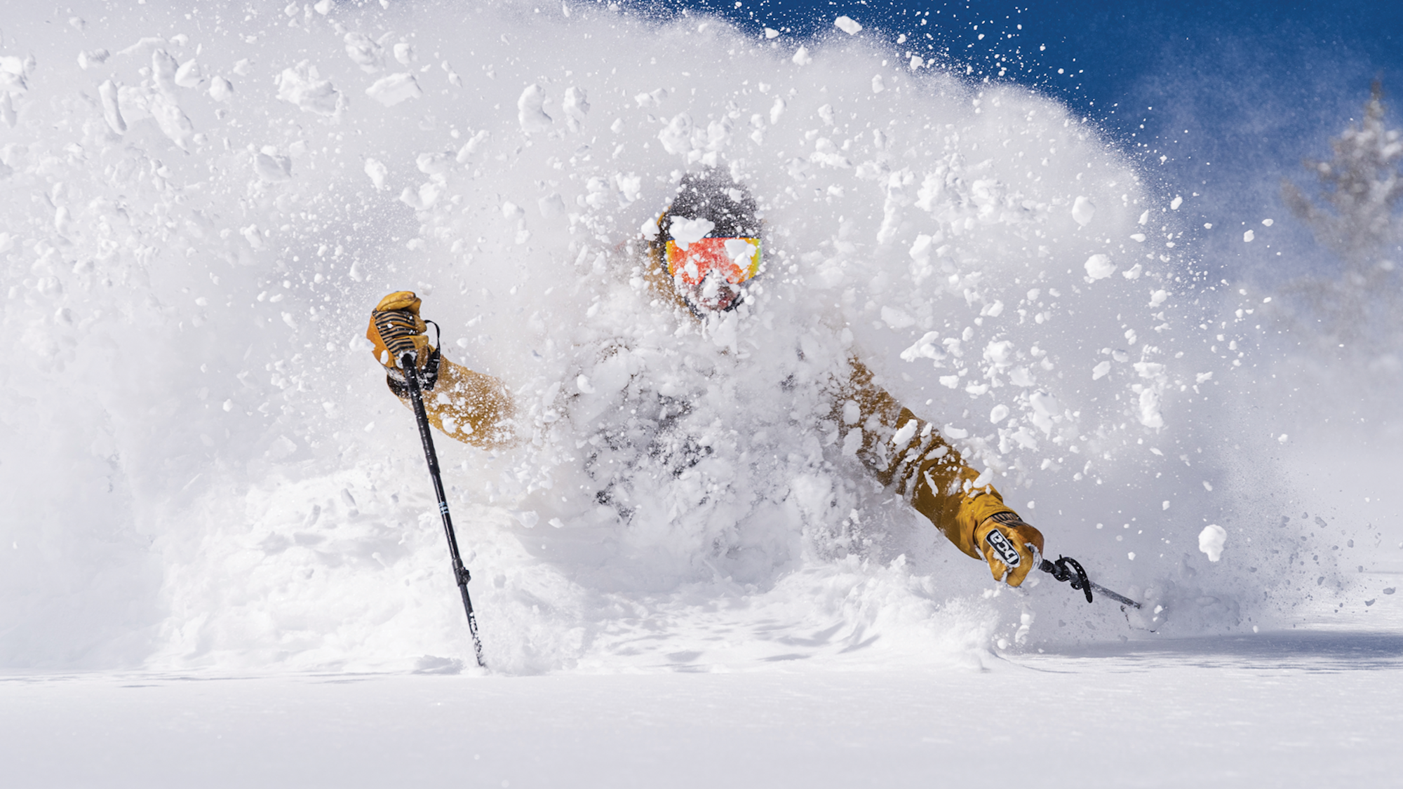 Letter from the Editor — Buyer's Guide 2021