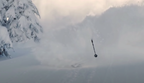 Bernie Rosow | The Groomer Crow