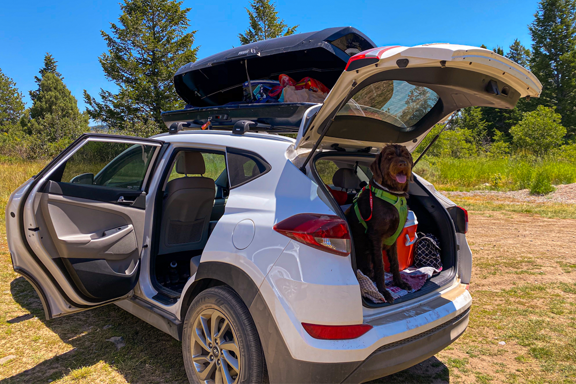 No matter your sport, season or reason, Rack Attack has you covered