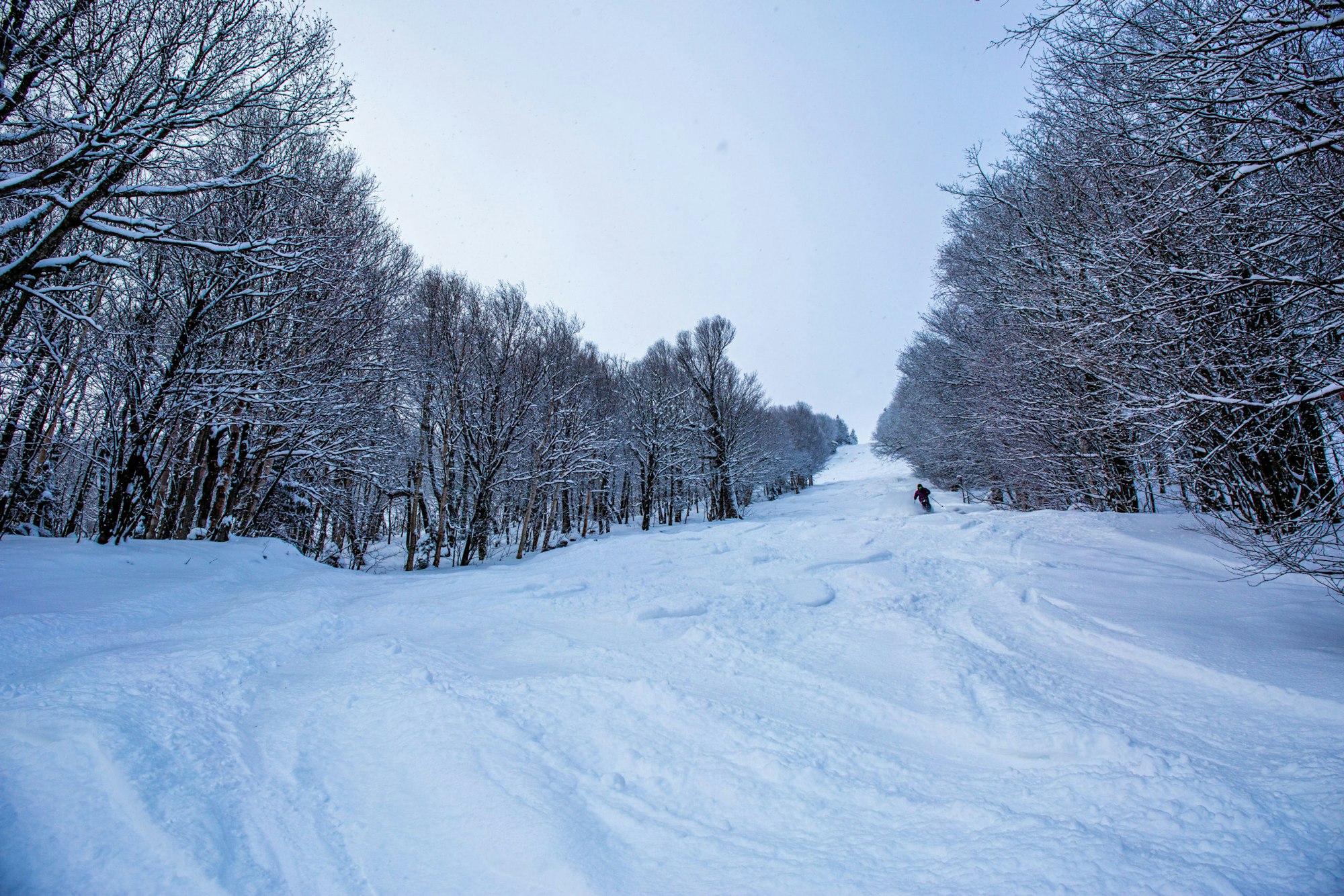 Look local: Make the most of your ski season by staying close to home