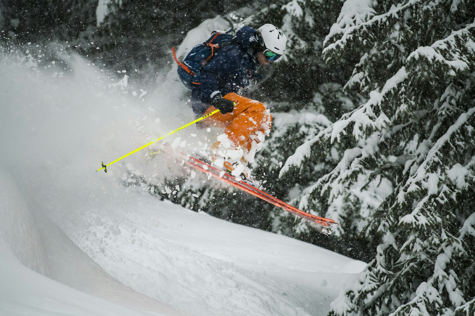 News Flash: Week of July 6, 2020