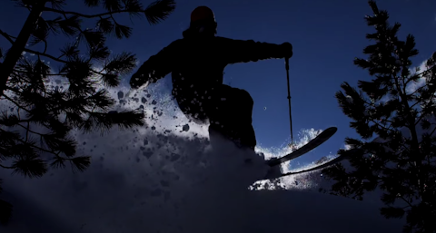 SHADOW AND LIGHT by Wildzoo Entertainment