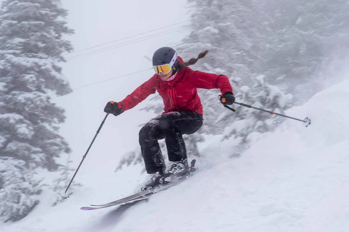 News Flash: Week of May 18, 2020