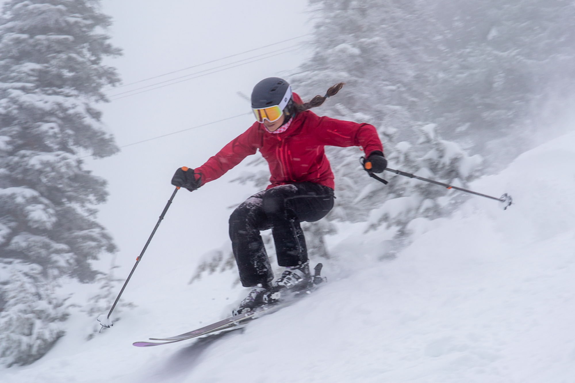 News Flash: Week of May 18, 2020