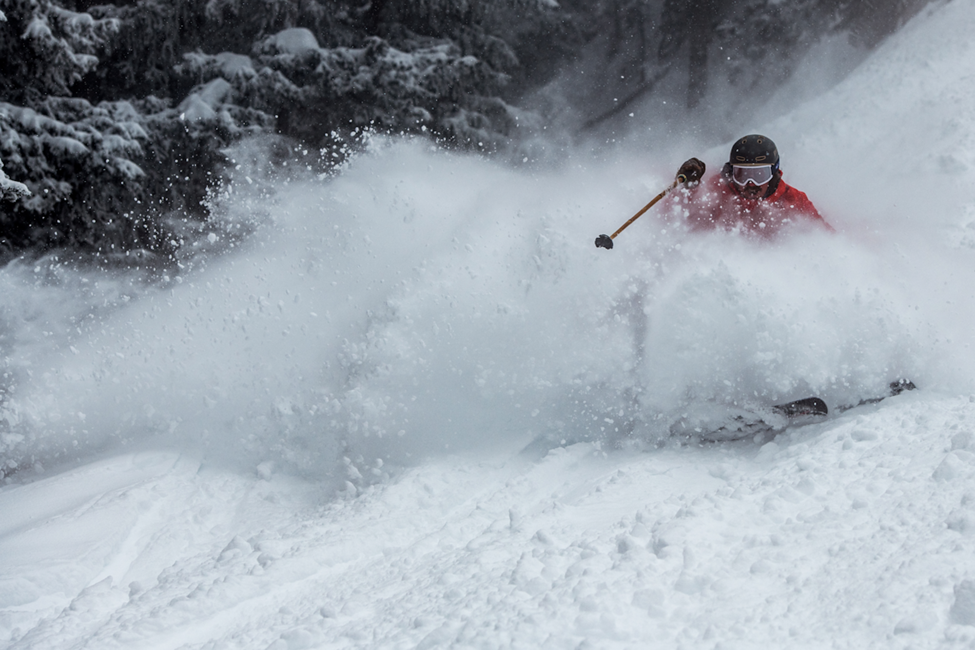 News Flash: Week of May 4, 2020