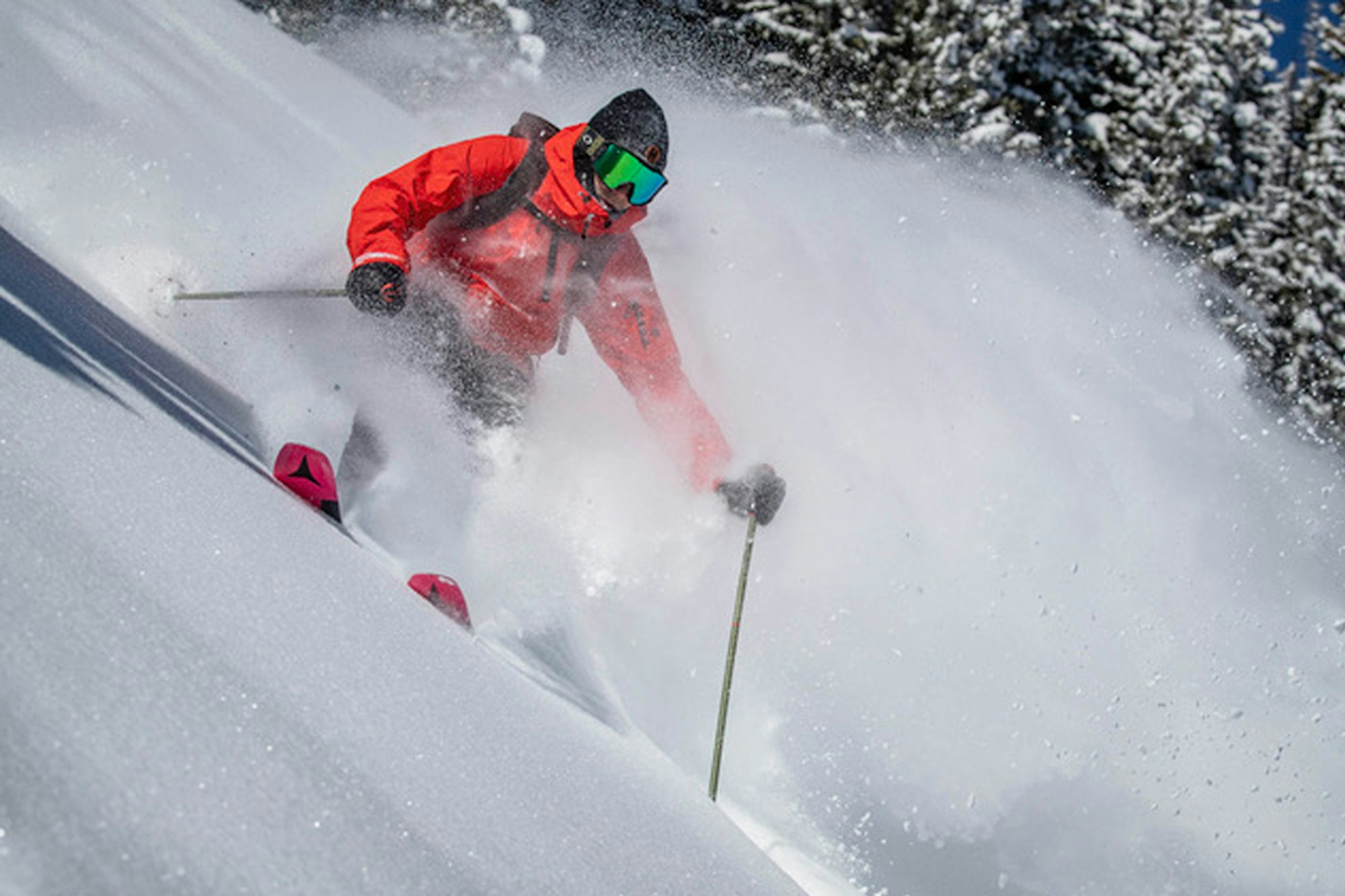 News Flash: Week of April 20, 2020