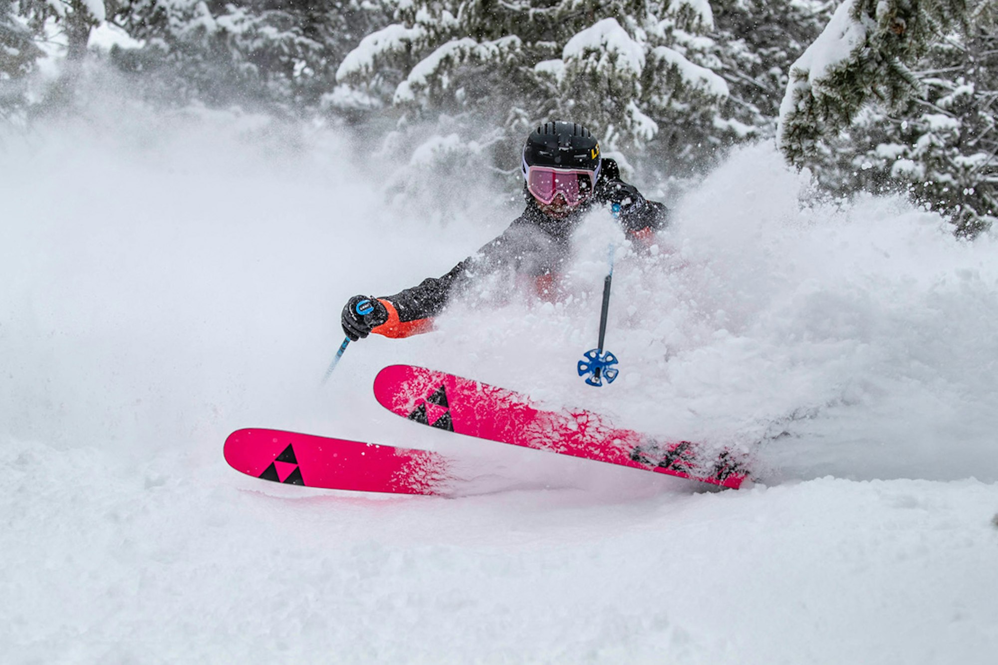 News Flash: Week of April 13, 2020