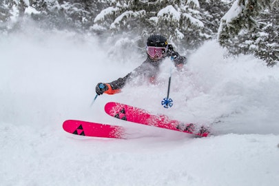 News Flash: Week of April 13, 2020