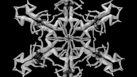 Mountain musings: Photographer Reuben Krabbe's "Snowflake"