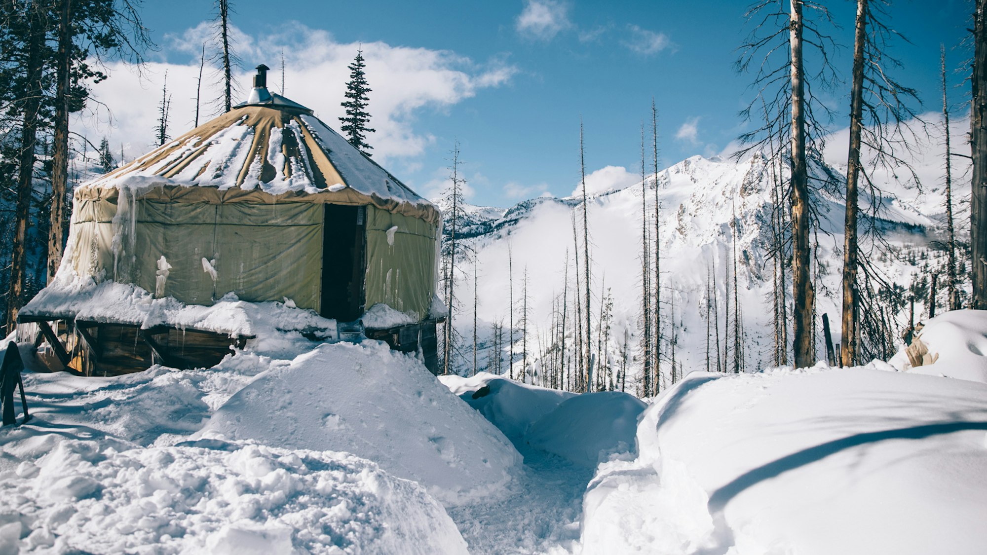 Killian and The Yurt Fanclub