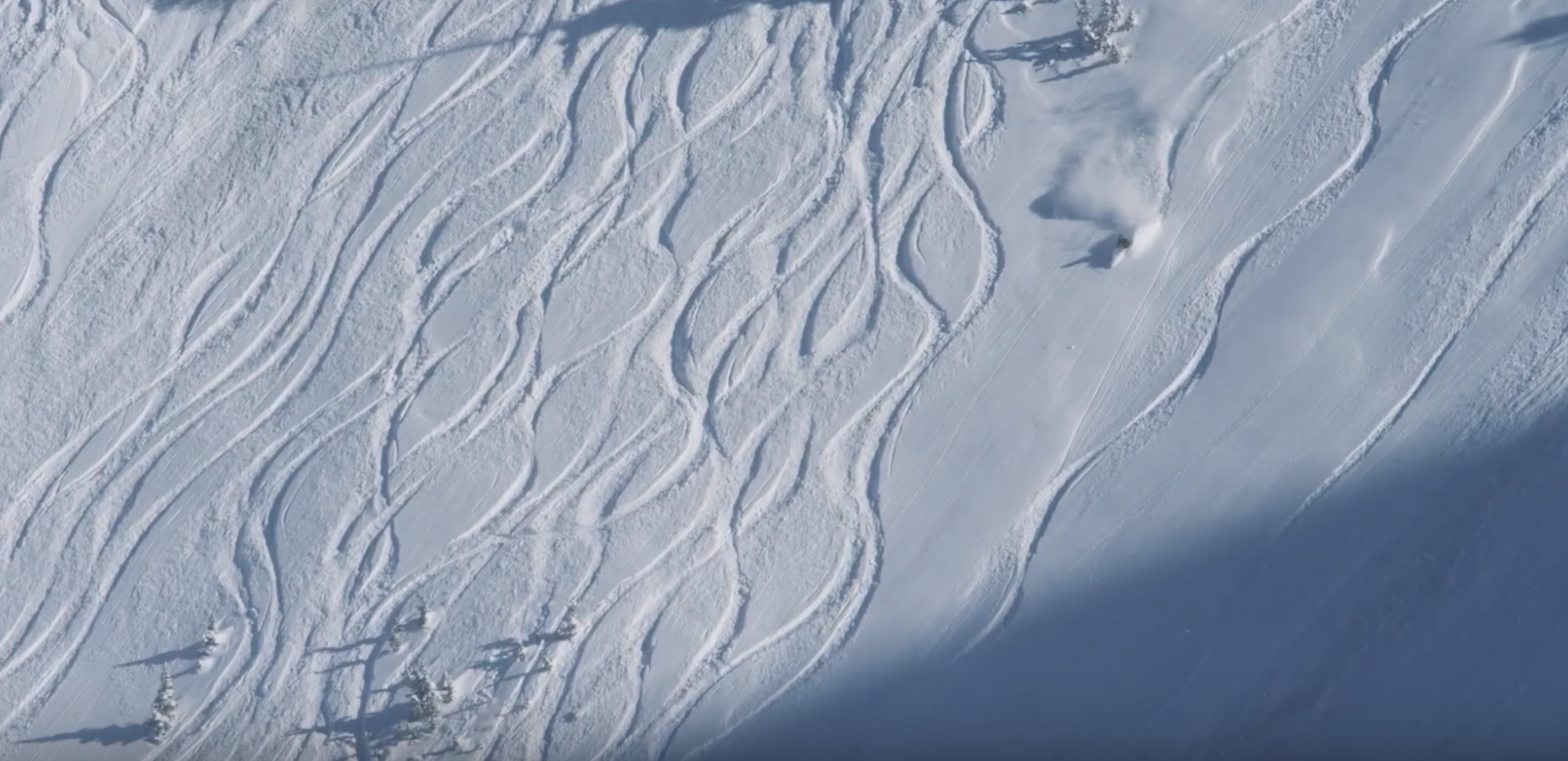 FIVE THINGS: These coffee table books featuring Alta Ski Area will keep your powder dreams alive