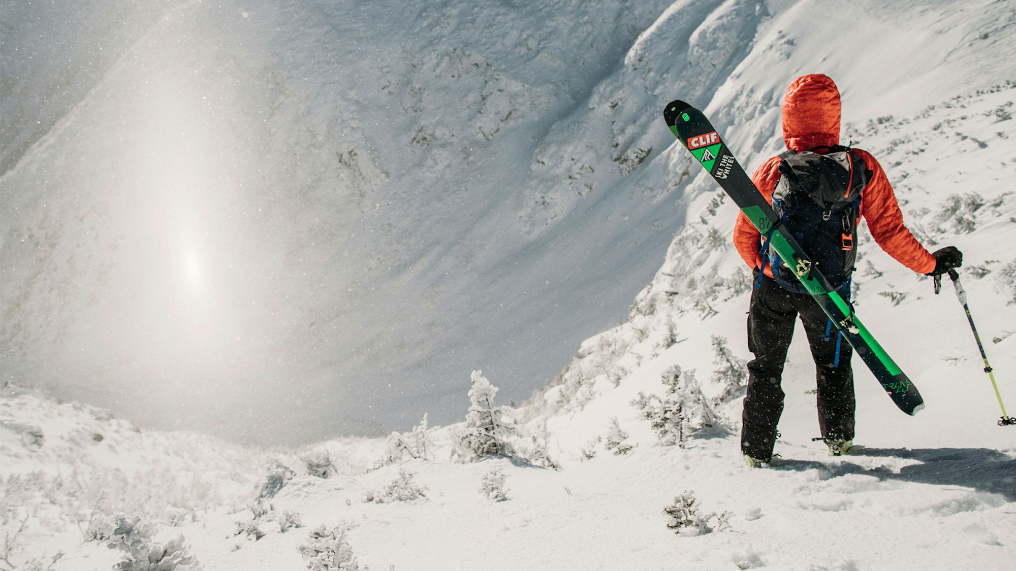 Land Ho! To the Whites you shall go!