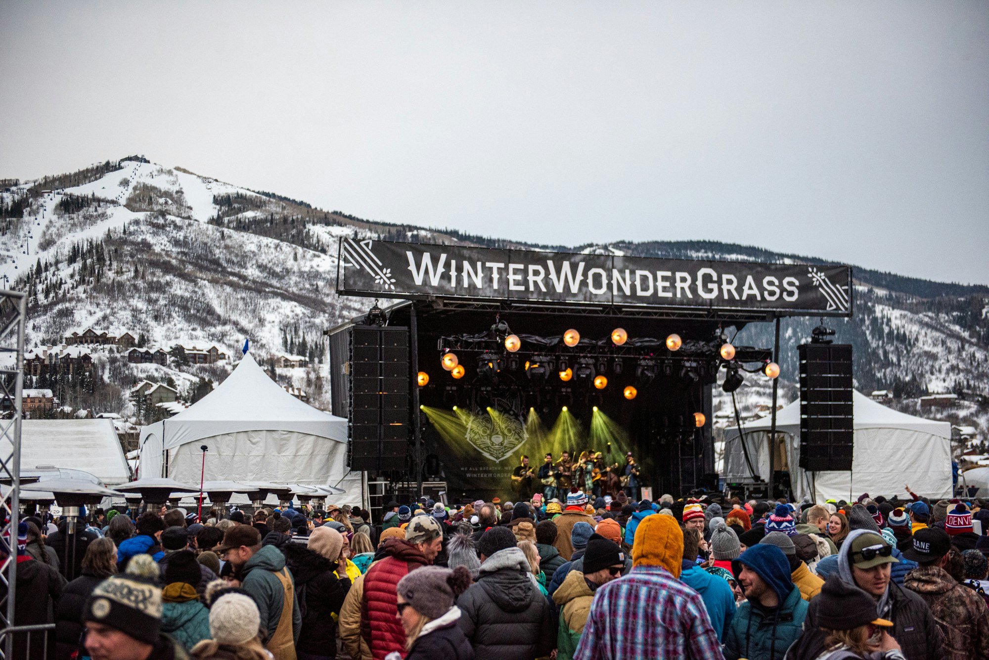 WinterWonderGrass