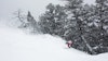 FREESKIER and Fischer Skis enjoy deep Teton powder during Ranger Days in Jackson Hole