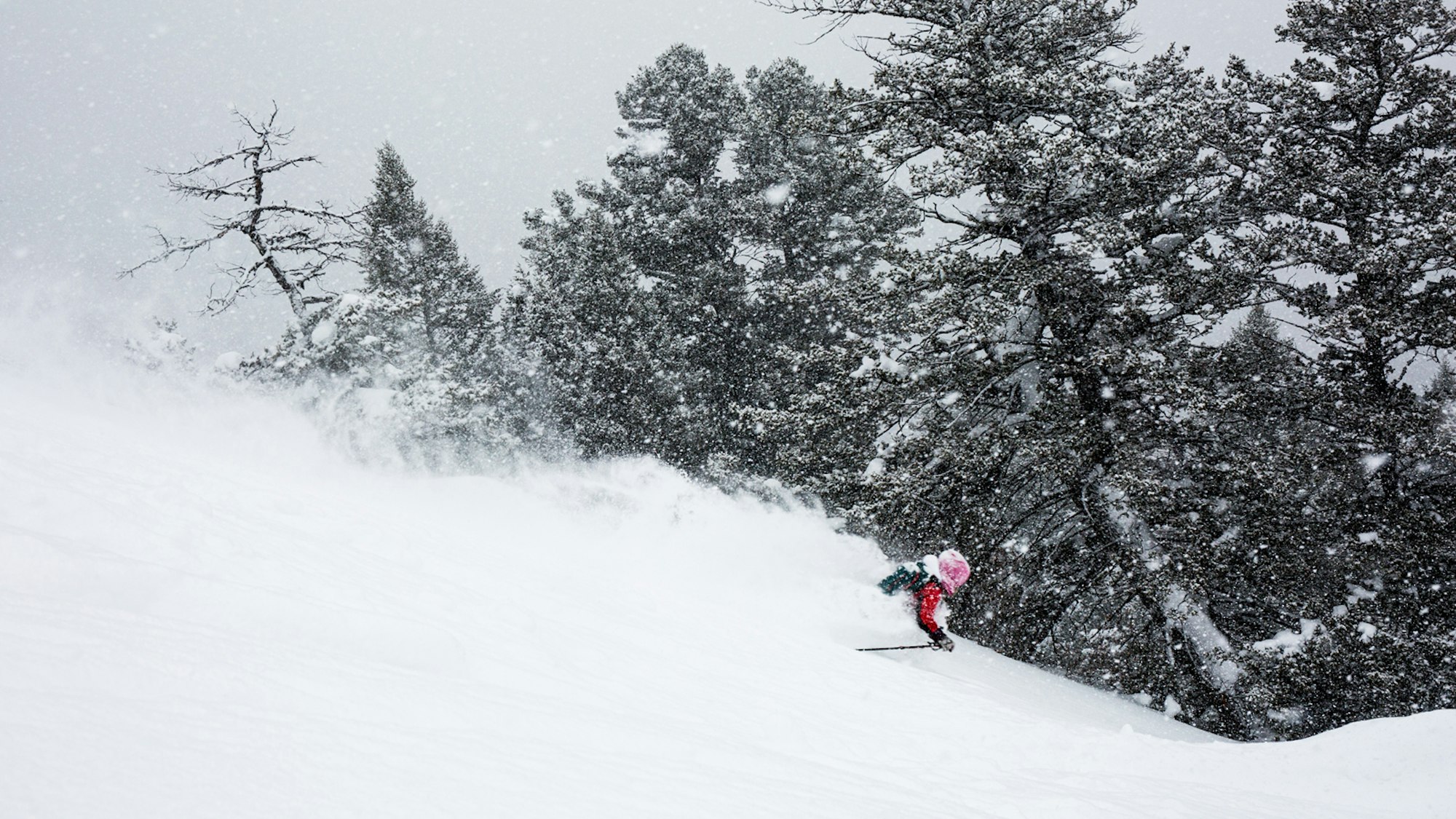 FREESKIER and Fischer Skis enjoy deep Teton powder during Ranger Days in Jackson Hole