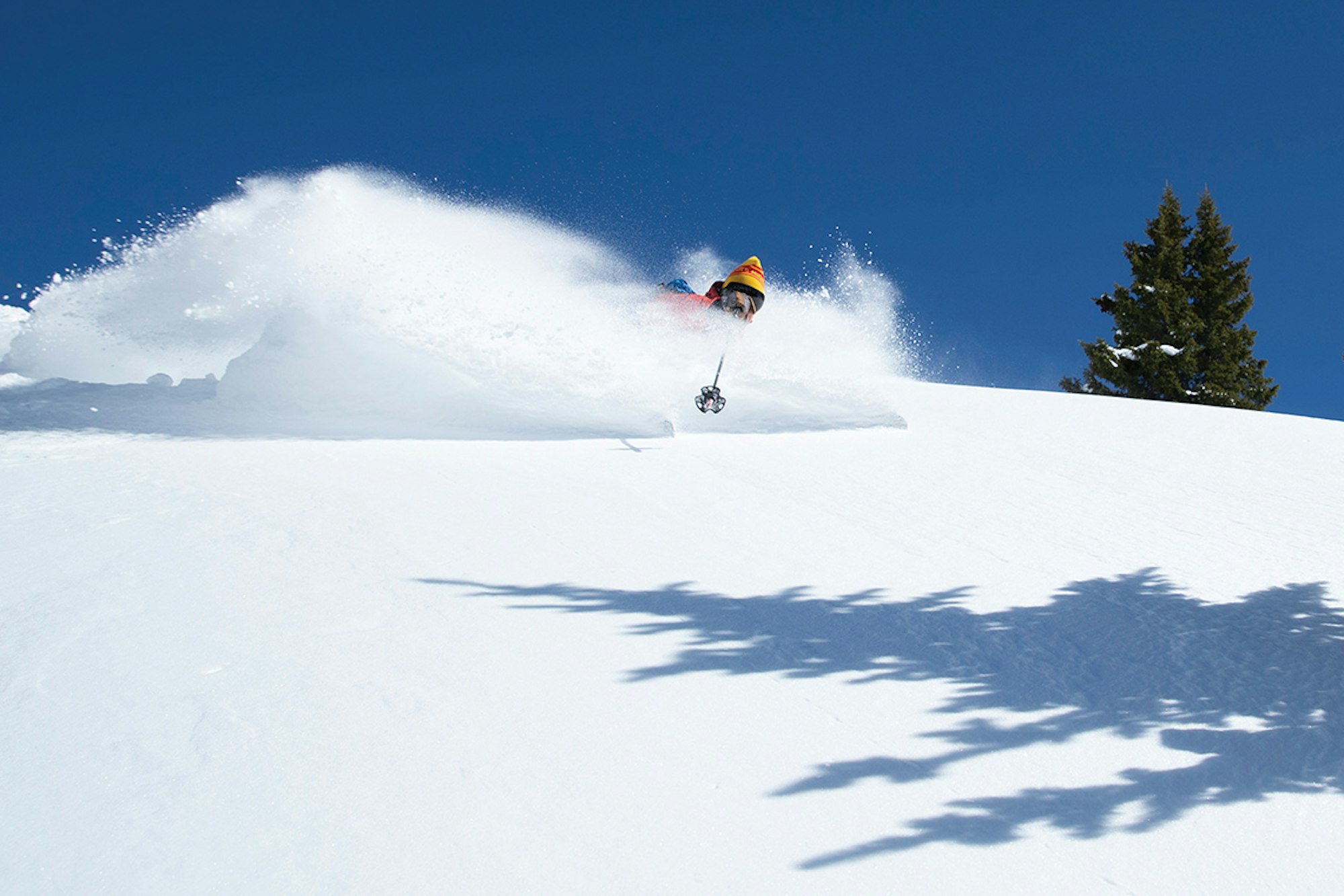 Searching for Dolores LaChapelle